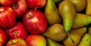Appels en peren.jpg