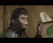 1475222236436-min.gif