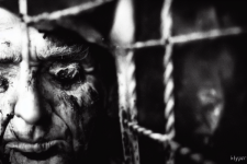 ExLibris68_Donald_Trump_rotting_in_jail_bokeh_cinematic_film_no_3ca3e39e-7c3c-40cf-86e4-51bbc8...png